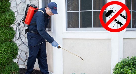 Otlukbeli Hamam Böceği İlaçlama böcek ilaçlama ve haşere kontrolü — ilaclama-tr.com